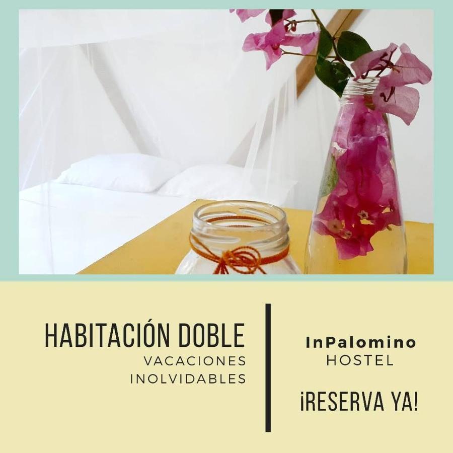 Hostel In Palomino Exterior photo
